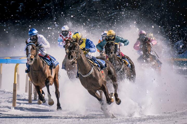 Do you know horse racing? Come take this quiz!